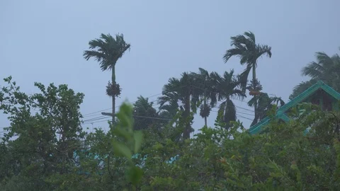 Storm and raining Stock Footage 101669558