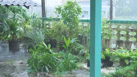 Storm and raining Video stock 101669603