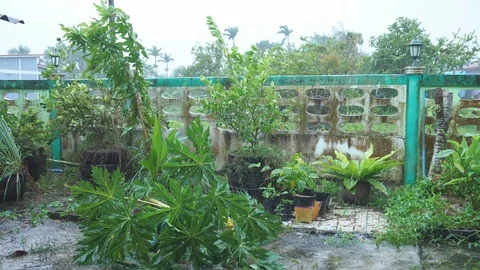 Storm and raining Video stock 101670881