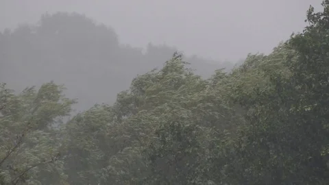 Storm and shower with lightning. Heavy rain with black clouds and wind Stock Footage 91168366