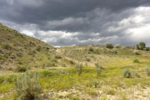 Storm Approaching Cody 스톡 사진