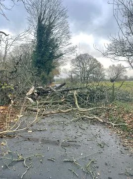 Storm Arwin Damage fallen tree-0916-gigapixel-lines-scale-4 00x Stock Photos