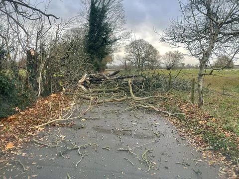 Storm Arwin damage Stock Photos
