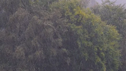 Storm In Autumn Vídeo Stock 334451204