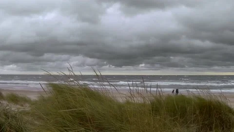 Storm on baltic sea - beach grass, stormy ocean, clouds, 3  walkers - real time Stock Footage 141217038