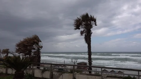 Storm in a beach Stock Footage 104253088