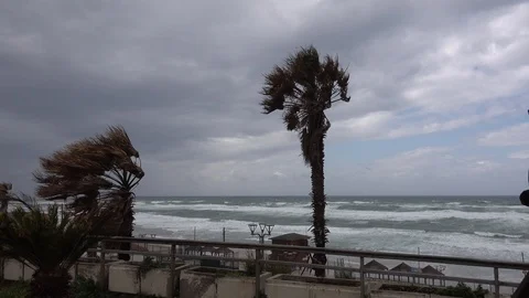 Storm in a beach Stock Footage 104253165