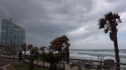 Storm in a beach Video stock 104507863