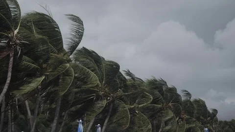 The Storm on the beach 動画素材 244148132