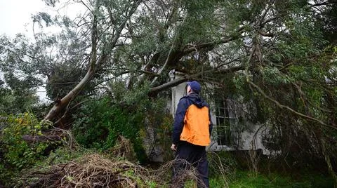  Storm Bert hits Devon, Exeter, UK - 24 Nov 2024 NEWS - A building enginee... Fotos de archivo