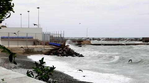 Storm At The Black Sea Stock Footage 70402139