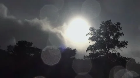 Storm Blowing Trees During Heavy Rain Sun Stock Footage 146754988