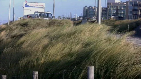 Storm on the boulevard Video stock 108326