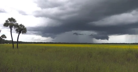 Storm Brewing Stock Footage 94267086