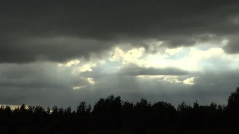 Storm is building over forest with light rays 4K 動画素材 77011443
