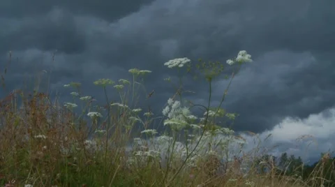Storm cloud 1.mov Vídeos de archivo 7525820