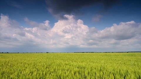 Storm cloud cinematic 4k timelapse over crop fields in Romania Stock Footage 141474929