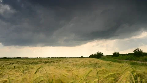 Storm cloud cinematic 4k timelapse over crop fields in Romania Stock Footage 141474981