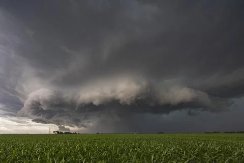 Storm cloud structure in the sky over a corn field with a green crop, billo.. Stock Photos
