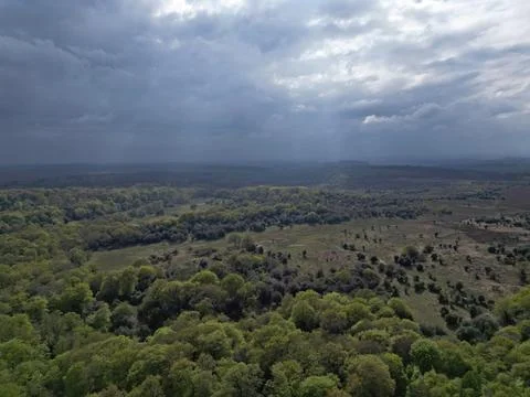 Storm clouds above the forest Stock Photos