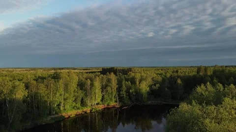 Storm clouds above the river and taiga forest in Siberia. Aerial view Video stock 302110250