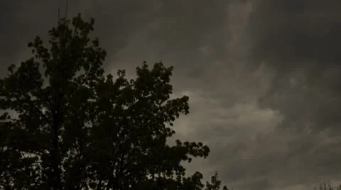 Storm Clouds above Tree Timelapse Stock-Footage 8689354