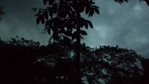 Storm Clouds and Lightning Stock-Footage 155266098