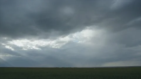 Storm clouds and lightnings over the field Stock Footage 51203229