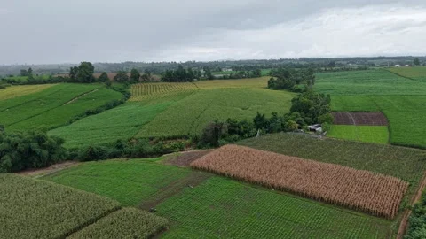 Storm Clouds and Rain Over Forest and Farmland Stock Footage 311994717