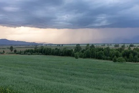 Storm clouds and rain over green fields near Zamul'ta village in Altai Mountains Fotos Stock