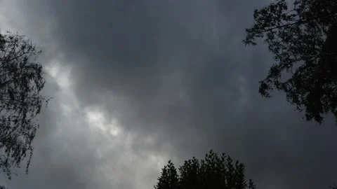 Storm clouds and trees Stock Footage 138215590