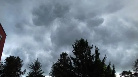 Storm Clouds and  Trees Stock Photos