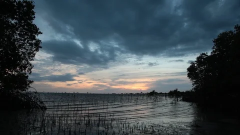 Storm Clouds Beach Low Tide Stock Footage 98502487