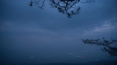 Storm clouds with branches of tree time lapse in moring Stock Footage 205264619