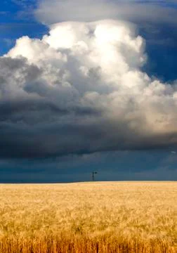Storm Clouds Canada Stock Photos