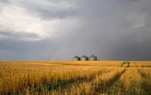 Storm Clouds Canada Stock Photos