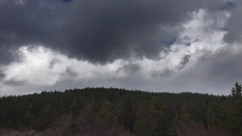 Storm clouds clear above pine forest in the Ural Mountains after rain - Cold Air Stock Footage 339813046