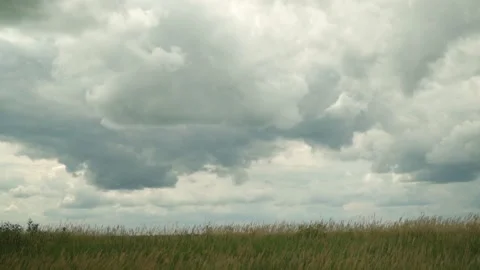 Storm clouds coming across field Stock Footage 202095262