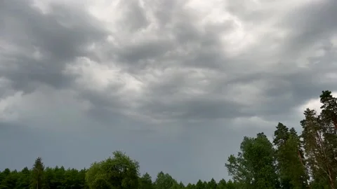 Storm clouds coming. Dark sky over forest. Stock Footage 248631919