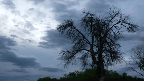 Storm Clouds at Dusk Stock Footage 160544142