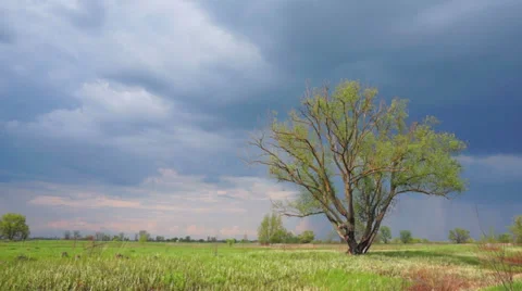 Storm clouds in the field. Timelapse. Stock Footage 37396081