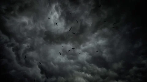 Storm clouds with flock of eagles wide angle Stock-Footage 83667644