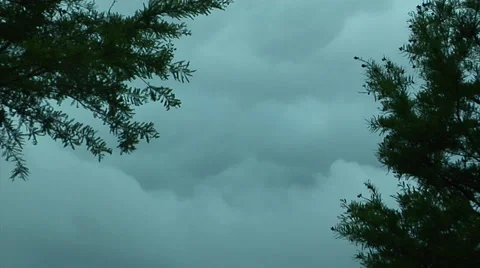 Storm clouds framed vy 2 cypress trees-2 Stock Footage 39413748