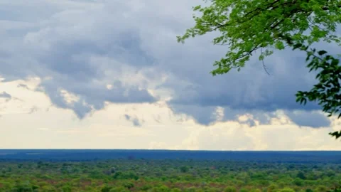 Storm clouds gathering over the African bush, trees in the foreground Video stock 345521315