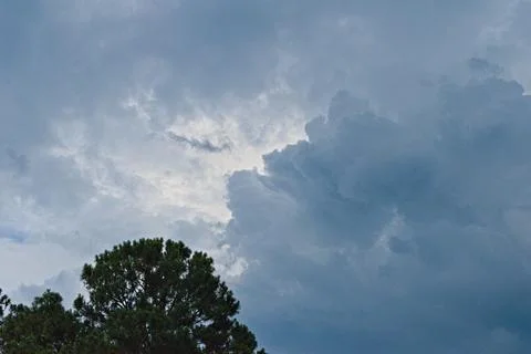 Storm Clouds Gathering Over Canopy of Trees Stockfoto's
