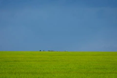 Storm clouds gathering over a wide green field, creating a dramatic natural.. Stock Photos