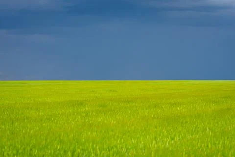 Storm clouds gathering over a wide green field, creating a dramatic natural.. Stock Photos