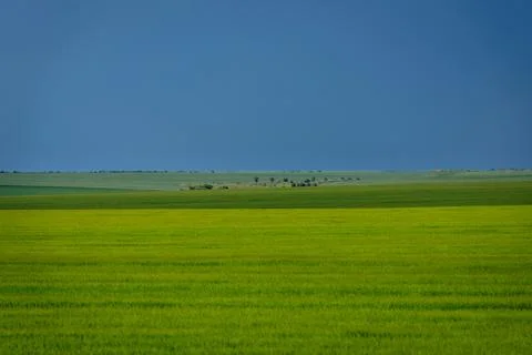 Storm clouds gathering over a wide green field, creating a dramatic natural.. 스톡 사진