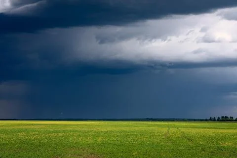 Storm clouds gathering over a wide green field, creating a dramatic natural.. Foto stock
