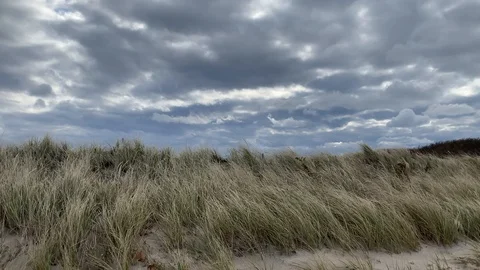 Storm Clouds Hover Over Blowing Beach Grass Stock Footage 119430016